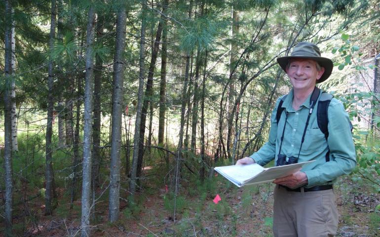 Visit To An Exotic Tree Plantation In Alaska | Geophysical Institute